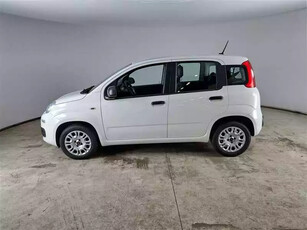 Fiat Panda Van Ibrida Usata