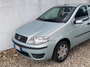 Fiat Punto 1.2i cat 5 porte usato