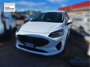 Ford Fiesta 1.1 75 CV 5 porte Titanium del 2023 usata a Livorno