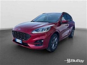 Ford Kuga 2.5 Plug In Hybrid 225 CV CVT 2WD ST-Line del 2021 usata a Livorno