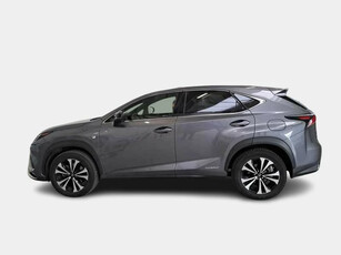 Lexus Nx 300h Ibrida Usata