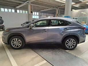 Lexus Nx 300h Ibrida Usata