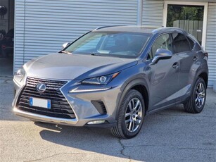 Lexus NX Hybrid 4WD Executive usato