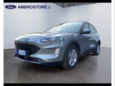 Ford Kuga 1.5 EcoBlue 120 CV 2WD Titanium usato