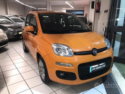 Usato 2019 Fiat Panda 1.2 Benzin 69 CV (12.300 €)