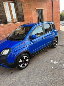 Usato 2019 Fiat Panda Cross 1.2 Benzin (13.000 €)