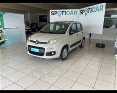 Fiat Panda 1.2 Easy del 2016 usata a Ragusa