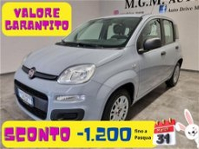 Fiat Panda 1.2 Active EasyPower del 2022 usata a Erba