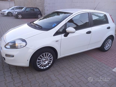 Fiat Punto 1.3 MJT II 75 CV 5 porte Street