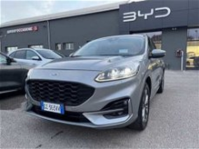 Ford Kuga 1.5 EcoBoost 150 CV 2WD ST-Line X del 2020 usata a Bolzano/Bozen