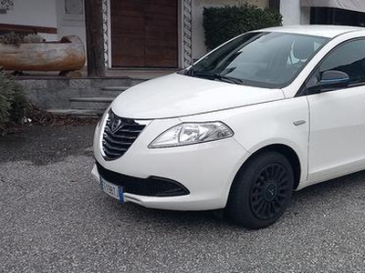 LANCIA Ypsilon UNICA PROPRI CHINGHIA SOSTITUITA