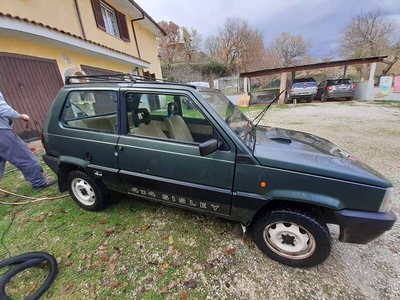 Venduto Fiat Panda 4x4 Panda 1.0 Sisl. - auto usate in vendita