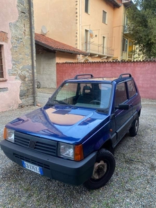 Usato 2003 Fiat Panda 4x4 1.1 Benzin 54 CV (5.500 €)