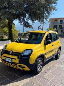 Usato 2018 Fiat Panda Benzin (10.000 €)