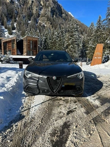 Usato 2019 Alfa Romeo Stelvio 2.0 Benzin 280 CV (36.000 €)