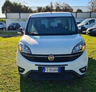 Usato 2019 Fiat Doblò 1.6 Diesel 105 CV (14.950 €)