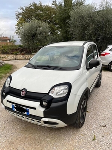 Usato 2019 Fiat Panda Cross 1.2 Diesel 95 CV (14.900 €)