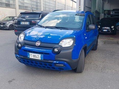 Usato 2019 Fiat Panda Cross Benzin (12.500 €)