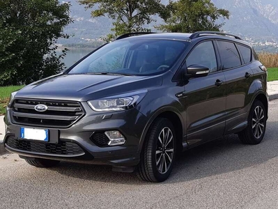 Usato 2019 Ford Kuga 1.5 Benzin 120 CV (18.900 €)