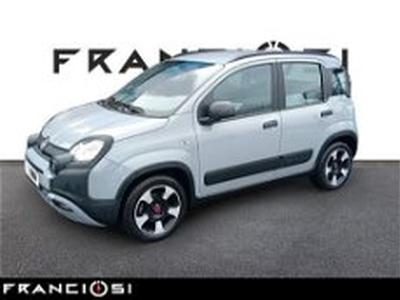 Fiat Panda 1.0 FireFly S&S Hybrid City Cross del 2021 usata a Mirandola