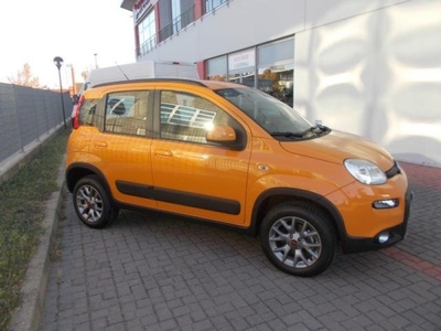 Fiat Panda 4x4 Usate