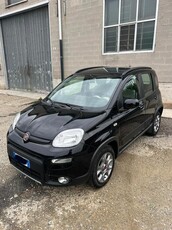 Usato 2013 Fiat Panda 4x4 1.2 Diesel 75 CV (10.900 €)