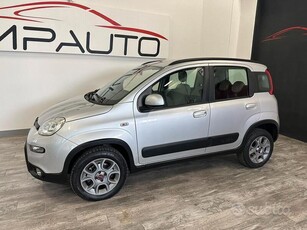 Usato 2014 Fiat Panda 4x4 1.2 Diesel 75 CV (8.900 €)