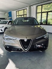 Usato 2017 Alfa Romeo Stelvio 2.1 Diesel 212 CV (28.900 €)