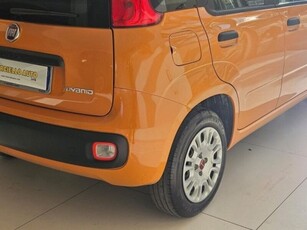 Usato 2021 Fiat Panda 1.0 El 69 CV (10.990 €)