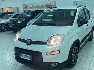 Usato 2021 Fiat Panda 1.0 El 71 CV (11.300 €)