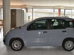 Usato 2021 Fiat Panda 1.0 El_Hybrid 69 CV (11.500 €)
