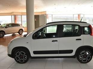 Usato 2021 Fiat Panda 1.0 El_Hybrid 70 CV (12.500 €)