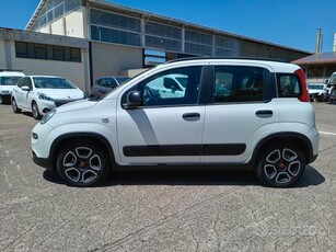 Usato 2022 Fiat Panda 1.0 El_Hybrid 70 CV (12.900 €)