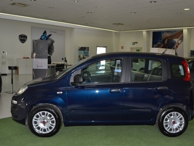 Usato 2019 Fiat Panda 1.2 Benzin 69 CV (10.500 €)
