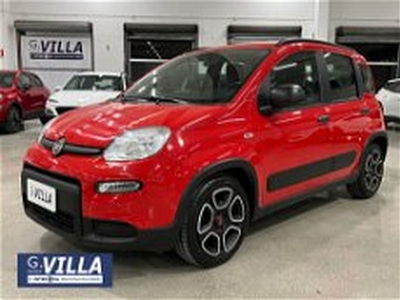 Fiat Panda 1.0 FireFly S&S Hybrid City Cross del 2022 usata a Monza