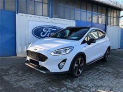 Ford Fiesta Active 1.0 Ecoboost 125 CV Start&Stop del 2021 usata a Pavone Canavese