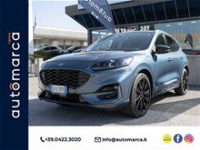 Ford Kuga 2.5 Plug In Hybrid 225 CV CVT 2WD ST-Line del 2020 usata a Silea