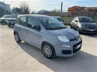 Fiat Panda 1.0 firefly hybrid s&s 70cv 5p.ti del 2022 usata a Sora