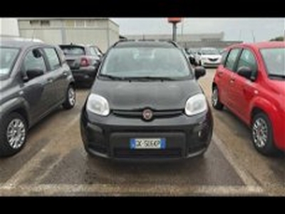 Fiat Panda 1.0 FireFly S&S Hybrid City Life del 2022 usata a Brindisi