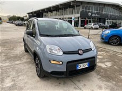 Fiat Panda 1.2 EasyPower City Life del 2022 usata a Caserta