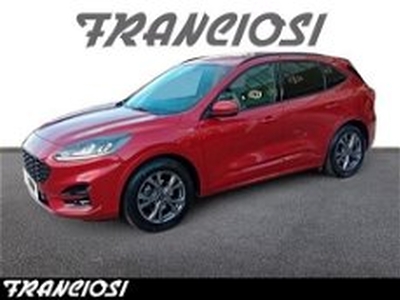 Ford Kuga 1.5 EcoBlue 120 CV 2WD ST-Line X del 2021 usata a Mirandola