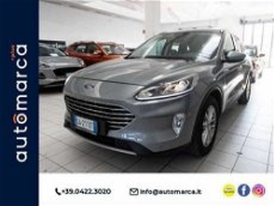 Ford Kuga 1.5 EcoBlue 120 CV 2WD Titanium my 20 del 2020 usata a Silea