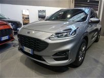 Ford Kuga 2.5 Plug In Hybrid 225 CV CVT 2WD ST-Line del 2021 usata a Bologna