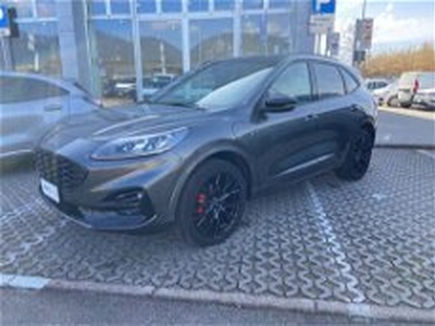 Ford Kuga 2.5 Plug In Hybrid 225 CV CVT 2WD ST-Line del 2023 usata a Terni