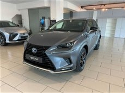 Lexus NX Hybrid 4WD Premium del 2021 usata a Siracusa