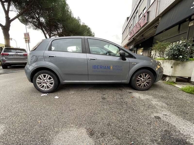 Usato 2013 Fiat Punto 1.2 Diesel 75 CV (5.000 €)
