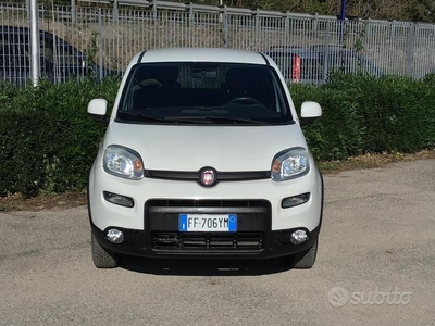 Usato 2016 Fiat Panda 4x4 1.2 Diesel 80 CV (12.990 €)