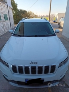 Usato 2019 Jeep Cherokee 2.2 Diesel 194 CV (25.000 €)