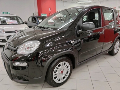 Fiat Panda 1.0 FireFly S&S Hybrid City Cross nuovo