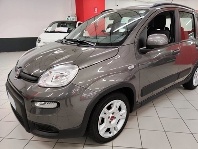 Fiat Panda 1.0 FireFly S&S Hybrid City Cross usato